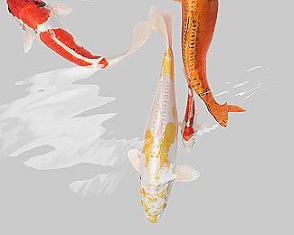 《超侦探事件簿》游戏系统情报 《弹丸论破》团队新作